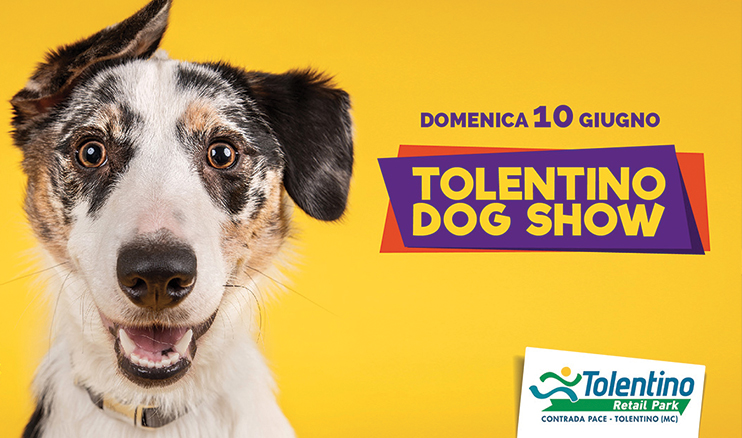 TolentinoRetailPark-Dog-Show