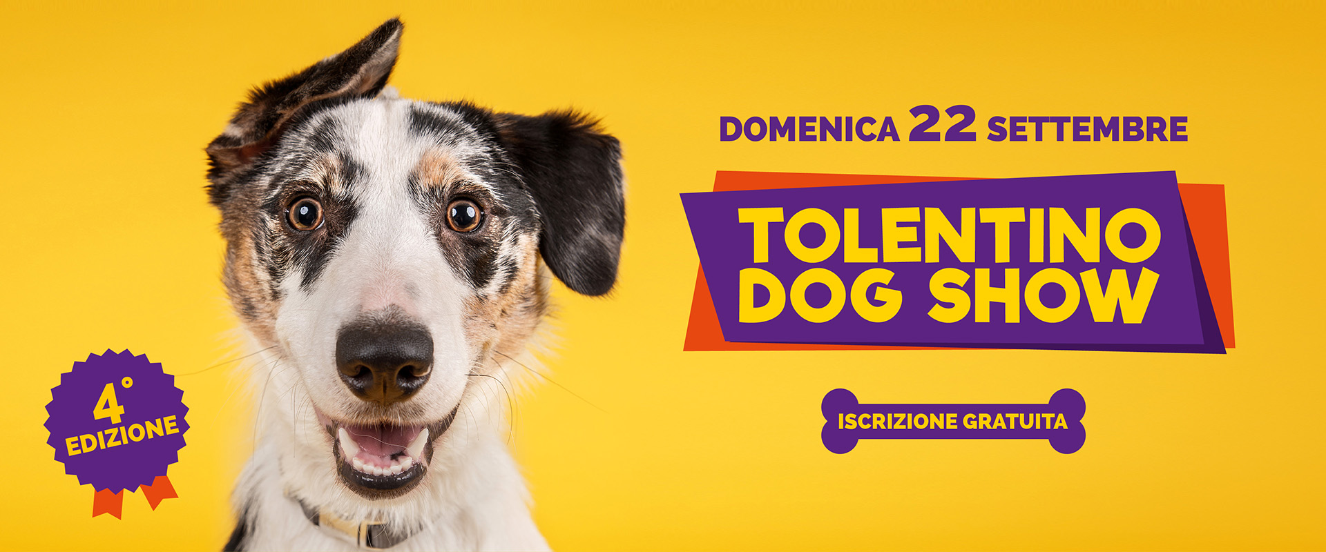 Tolentino_Home_DogShow